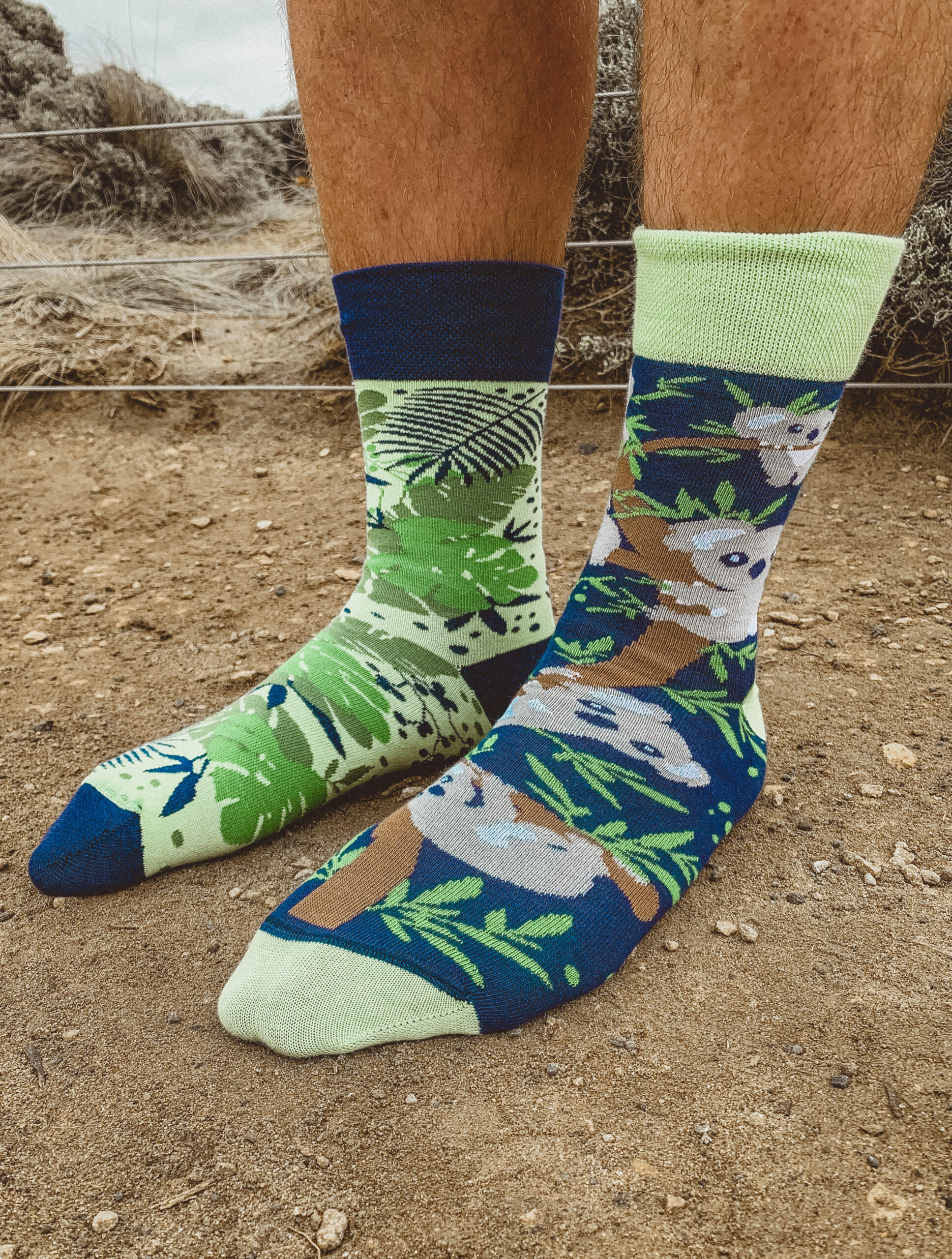Chaussettes Motifs Koala – Image 4