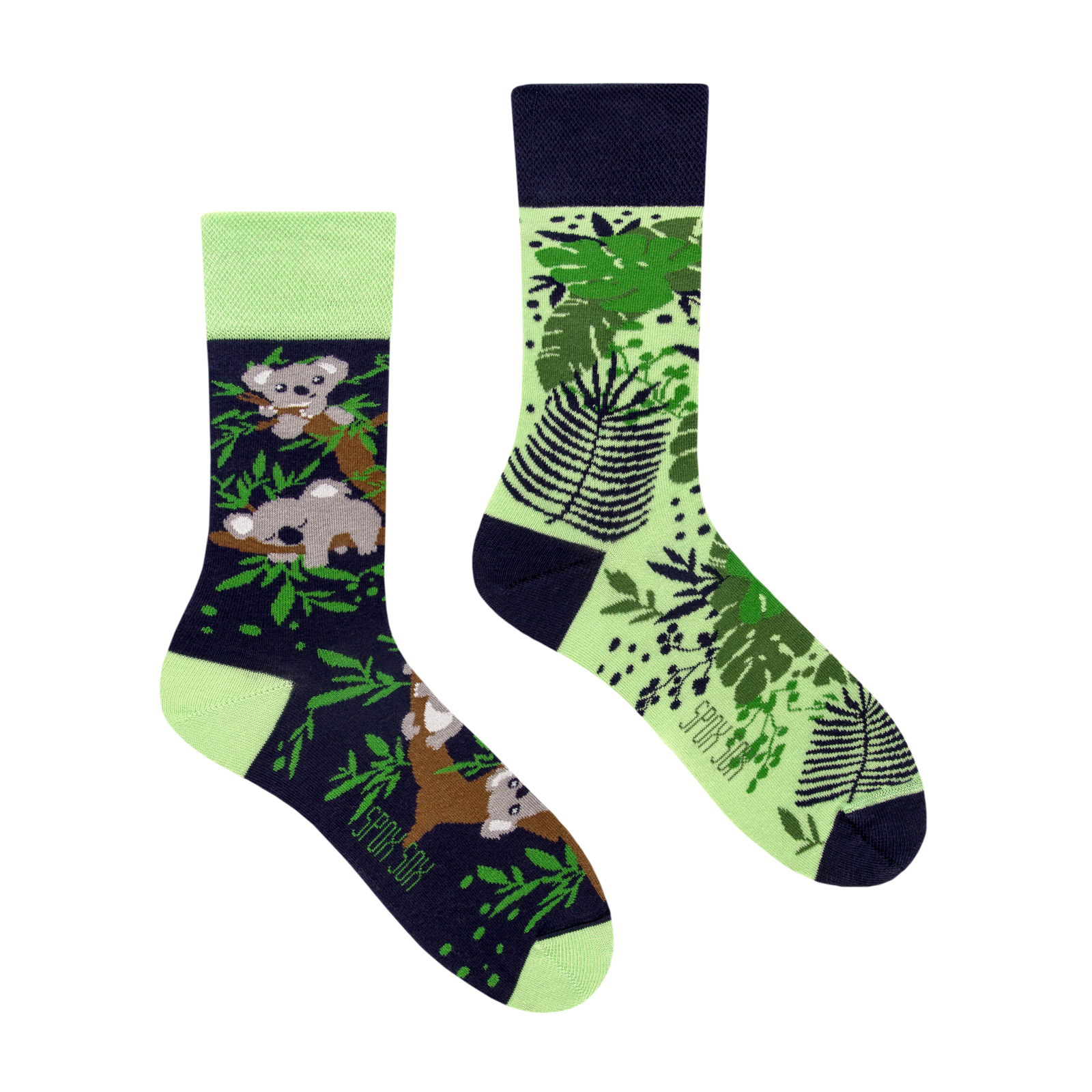 Chaussettes Motifs Koala – Image 2