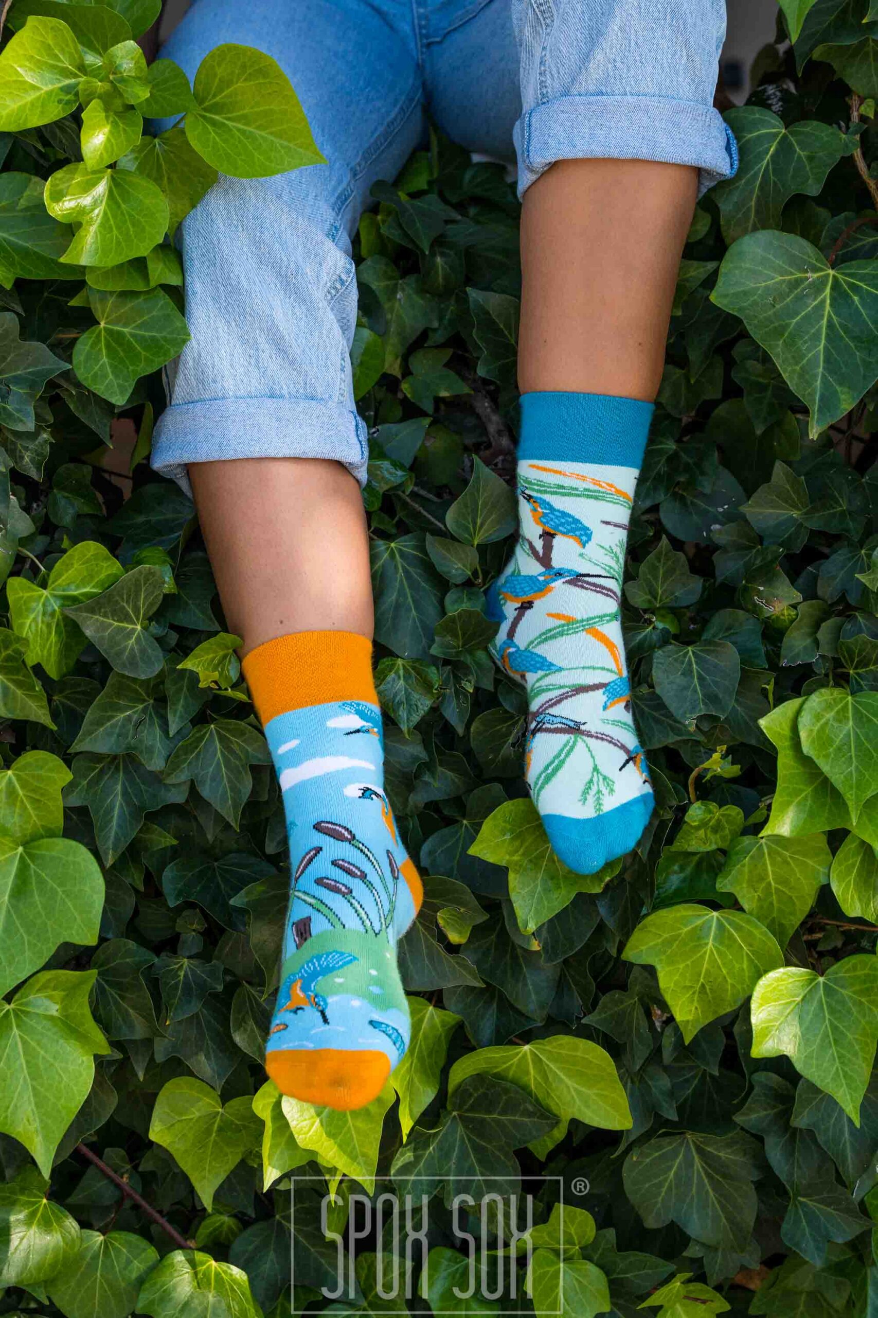 Chaussettes Motifs Martin Pêcheur – Image 5